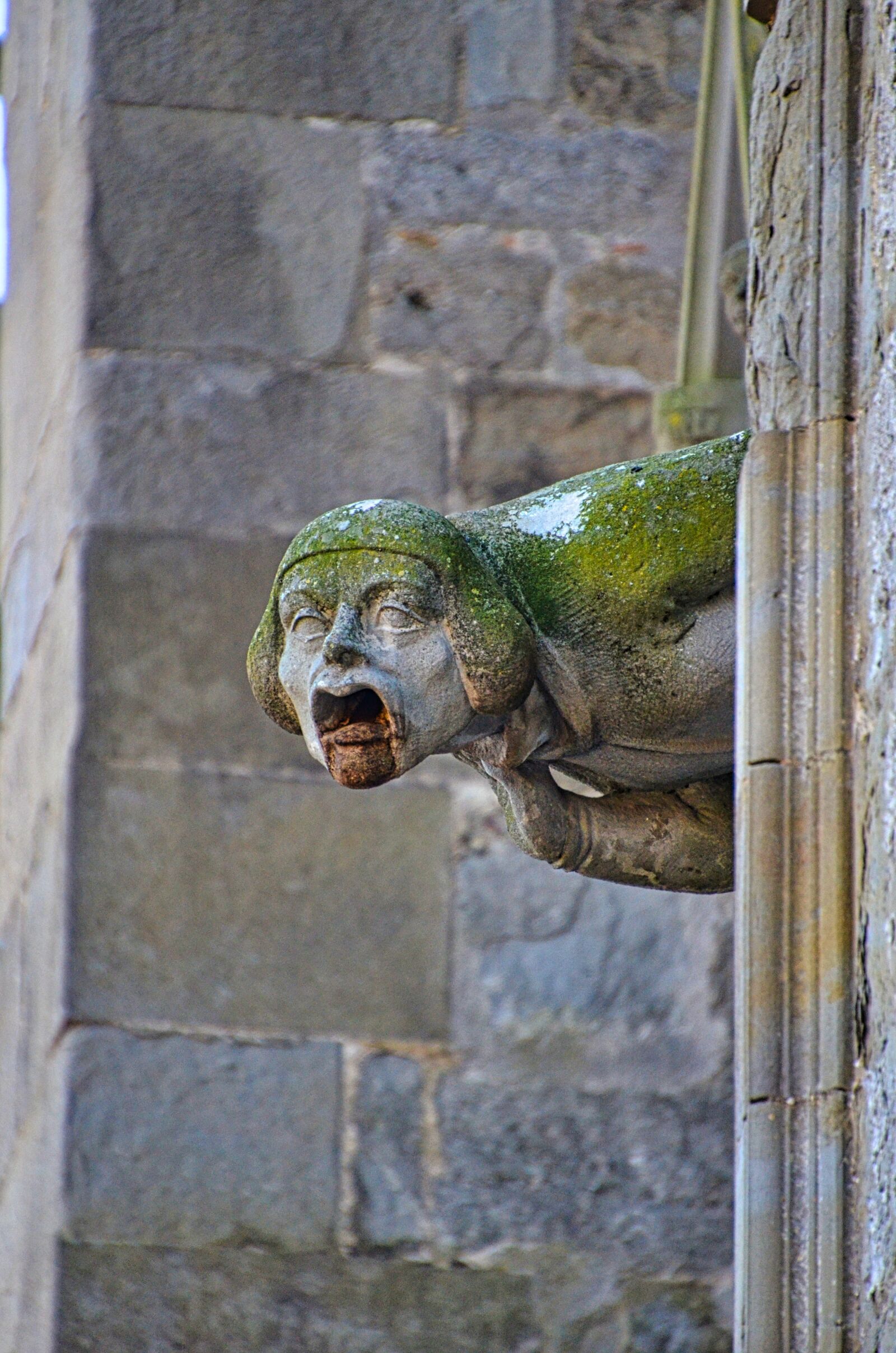 Nikon D7000 sample photo. Gargoyle, castle, old photography