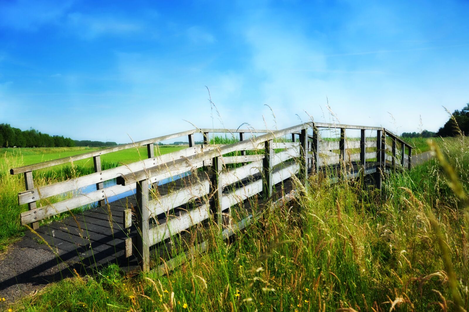 Nikon D90 sample photo. Bridge, ditch, landscape photography