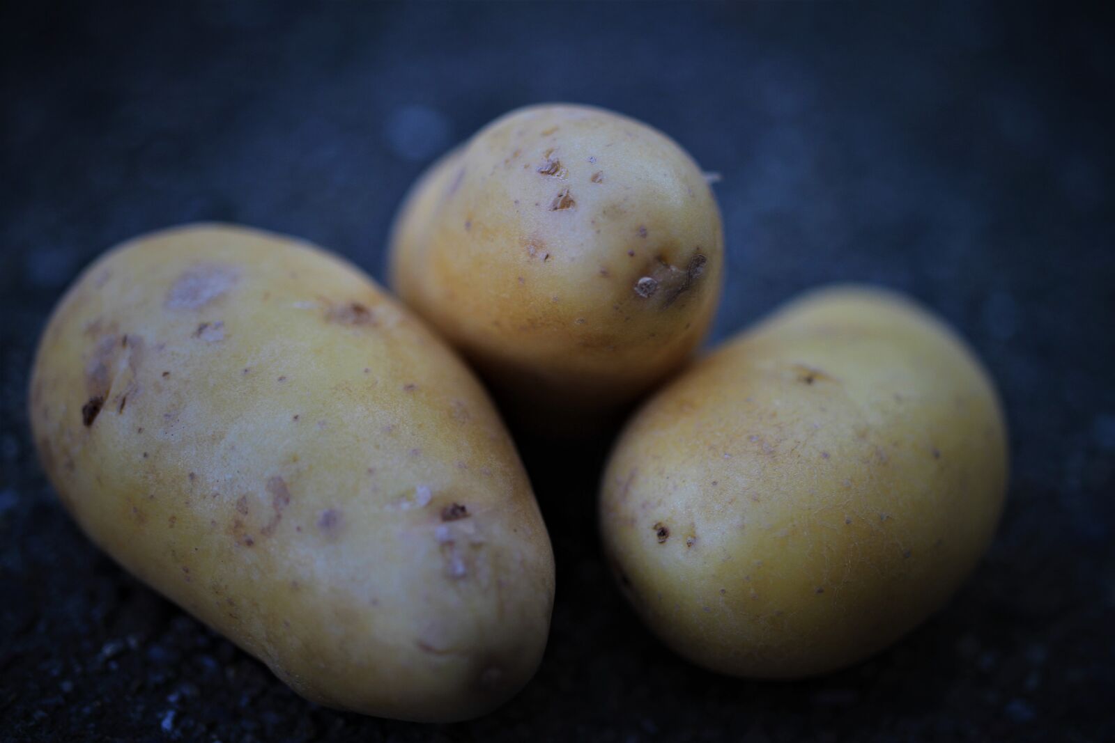 Canon EOS 7D sample photo. Potatoes, harvest, vegetables photography