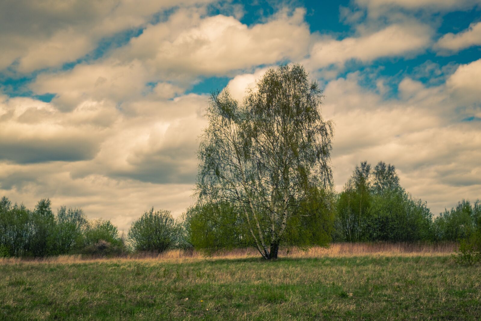 Fujifilm X-T10 sample photo. Landscape, poland, sky photography