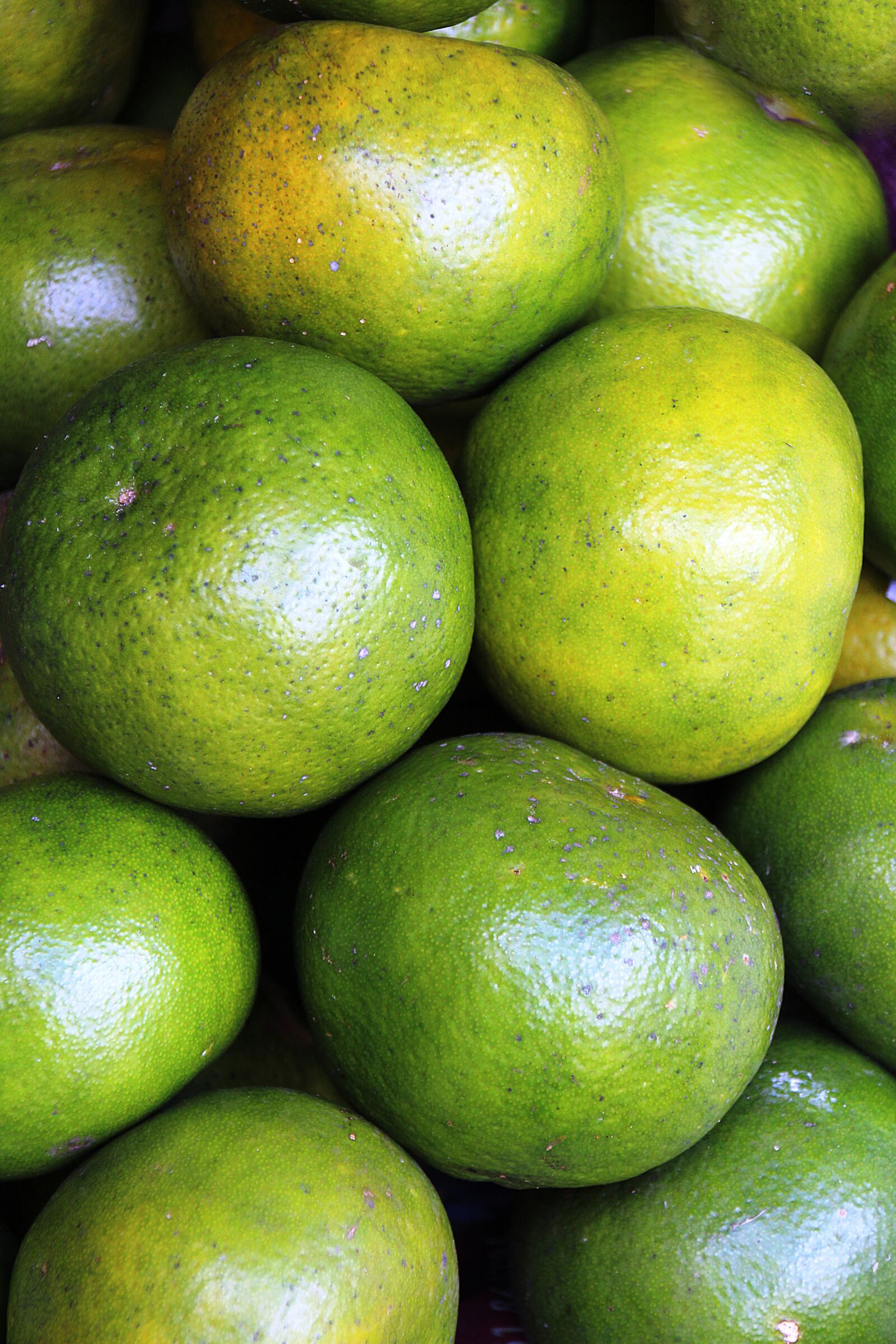 Canon EOS 700D (EOS Rebel T5i / EOS Kiss X7i) sample photo. Limes, citrus, green photography