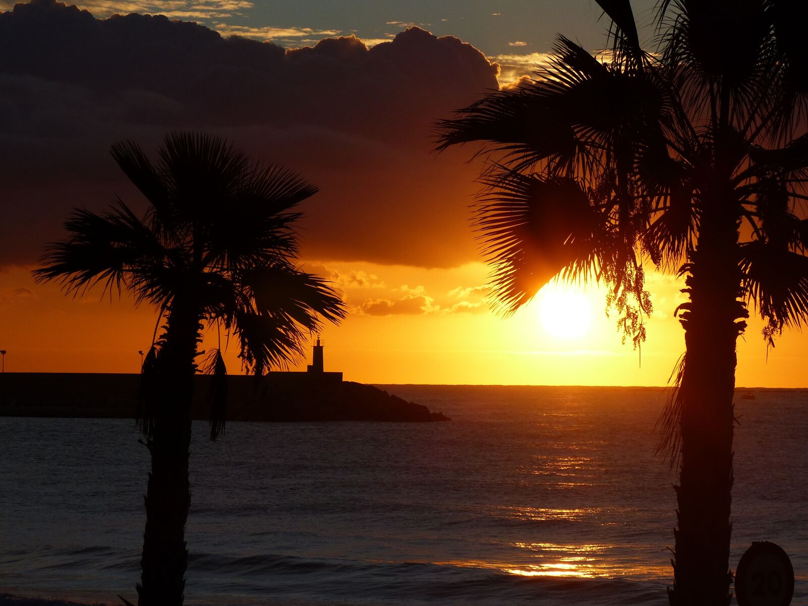 Panasonic Lumix DMC-FZ200 sample photo. Dawn, palms, horizon photography