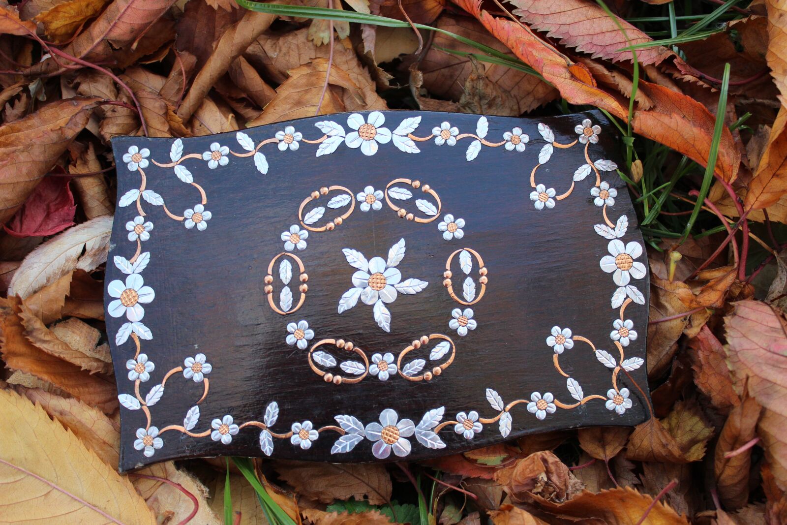 Canon EOS 600D (Rebel EOS T3i / EOS Kiss X5) sample photo. Jewelry box, decoration, ornament photography