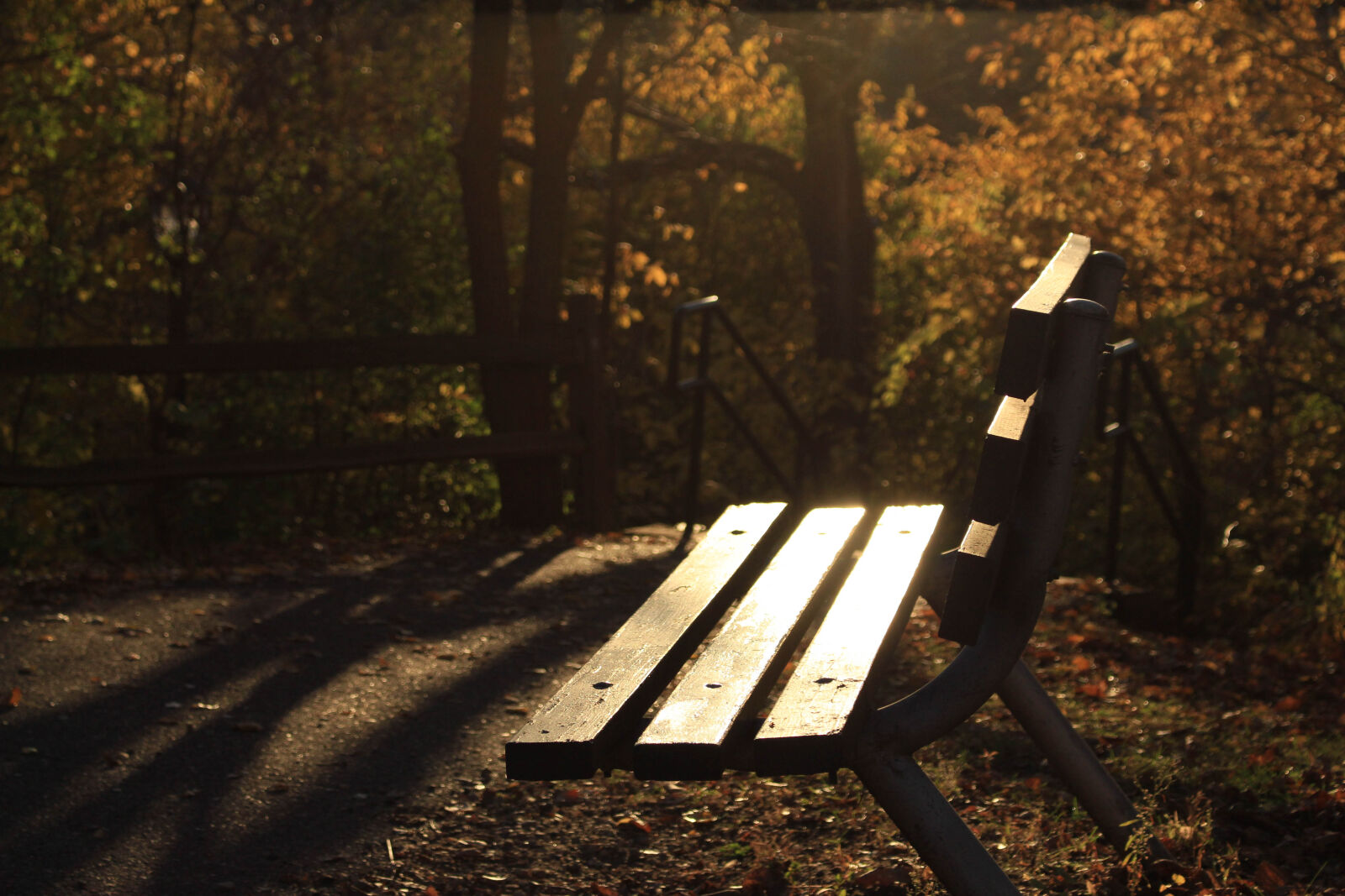 Canon EOS 700D (EOS Rebel T5i / EOS Kiss X7i) sample photo. Bench, evening, jared, nanasy photography