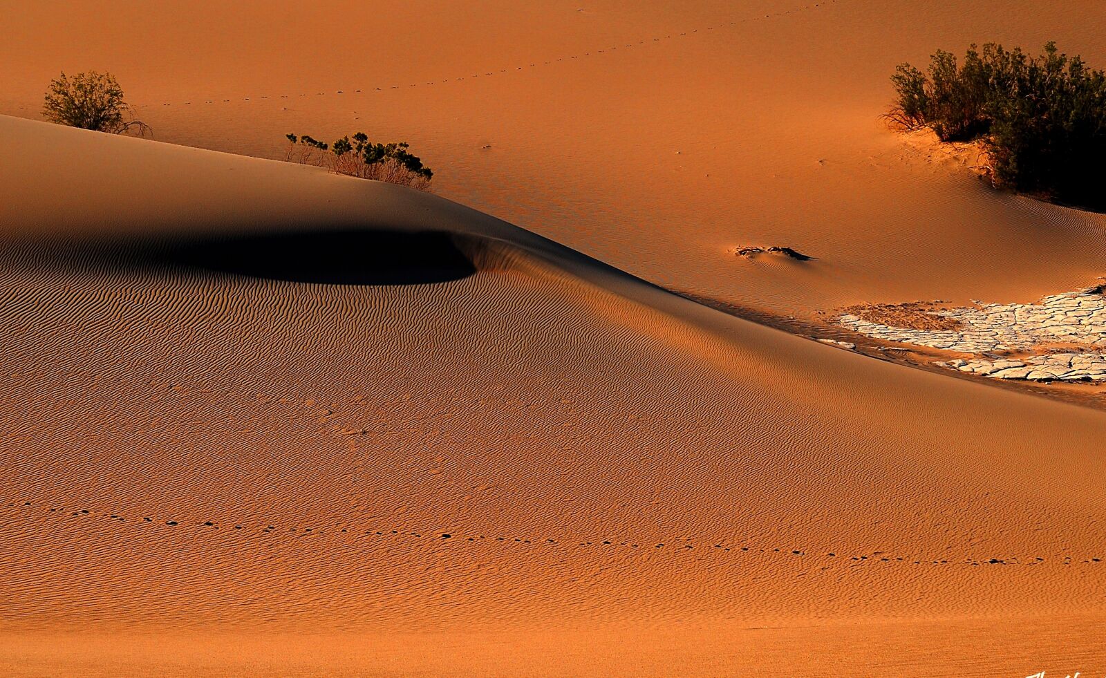 Nikon D200 sample photo. Death valley, sand, nature photography
