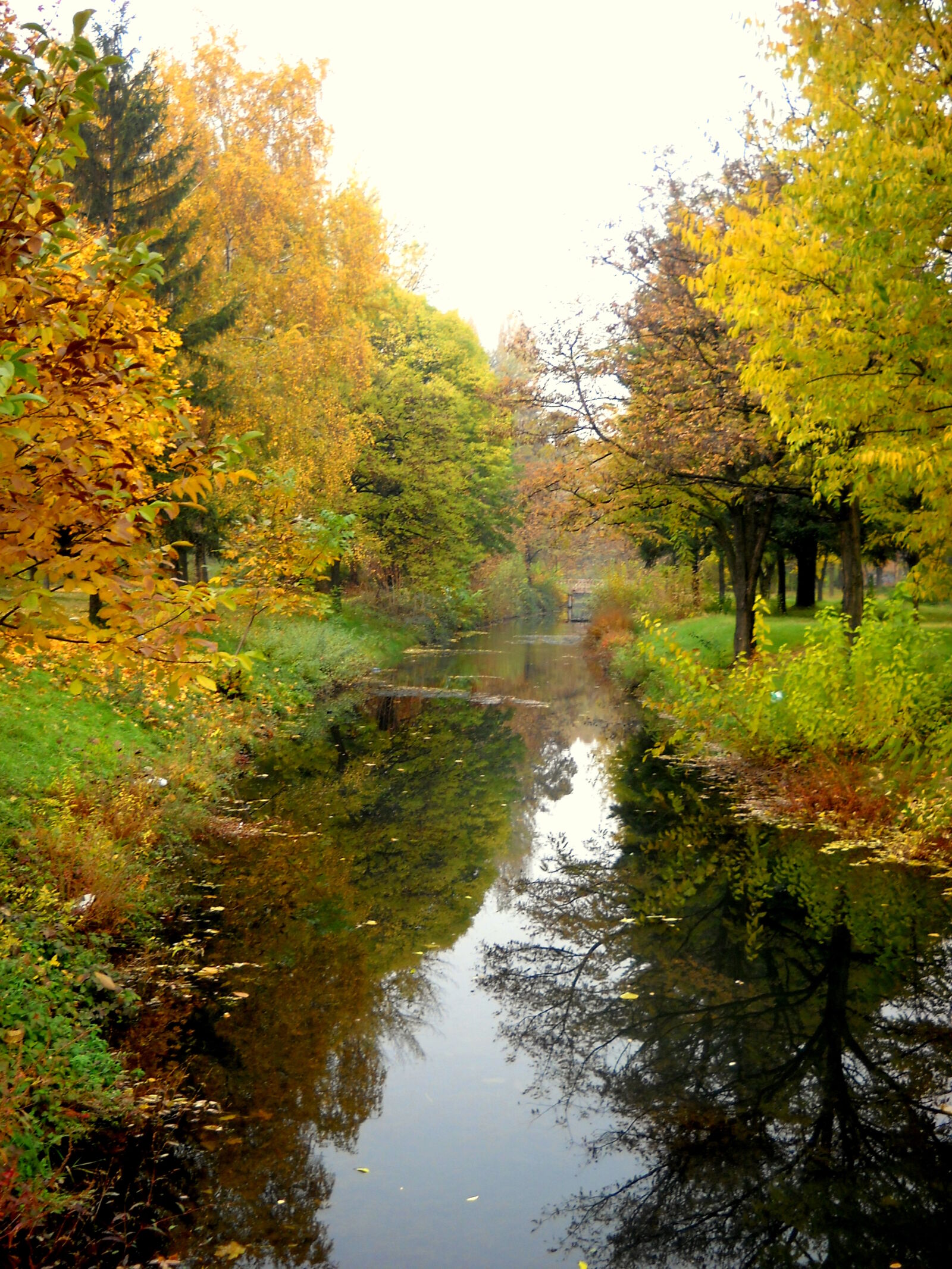 Nikon Coolpix L19 sample photo. Autumn, autumn, colours, autumn photography