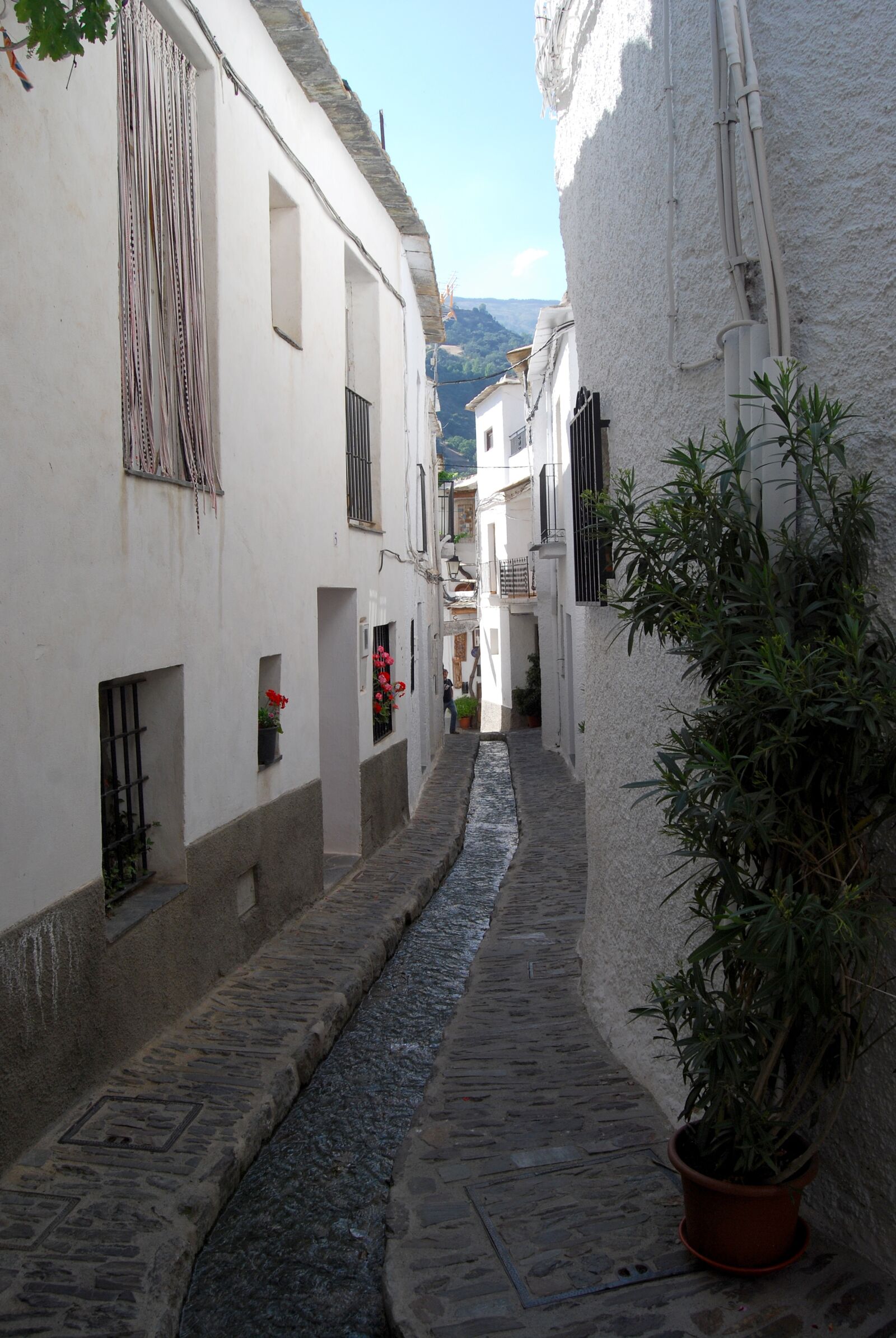 Nikon D40X sample photo. Architecture, street, travel photography