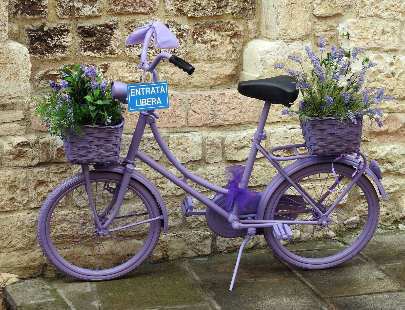 Nikon Coolpix P900 sample photo. Bicycle, lavender photography