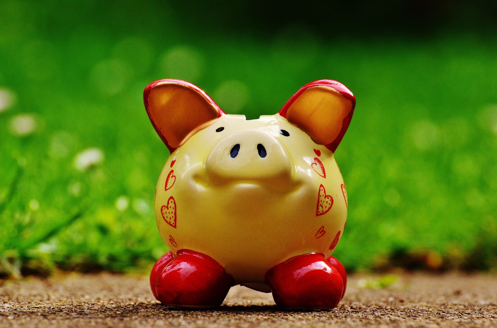 Nikon D3200 sample photo. Piggy bank, heart, funny photography