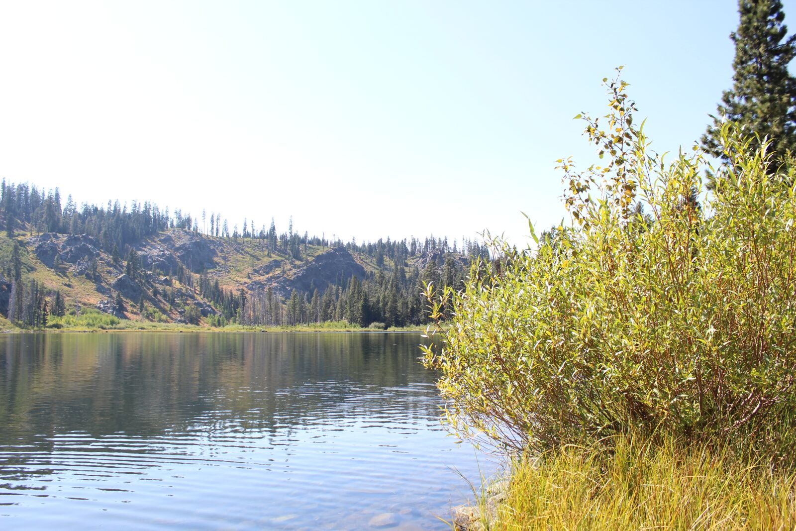 Canon EOS 1300D (EOS Rebel T6 / EOS Kiss X80) sample photo. Lake, landscape, tree photography
