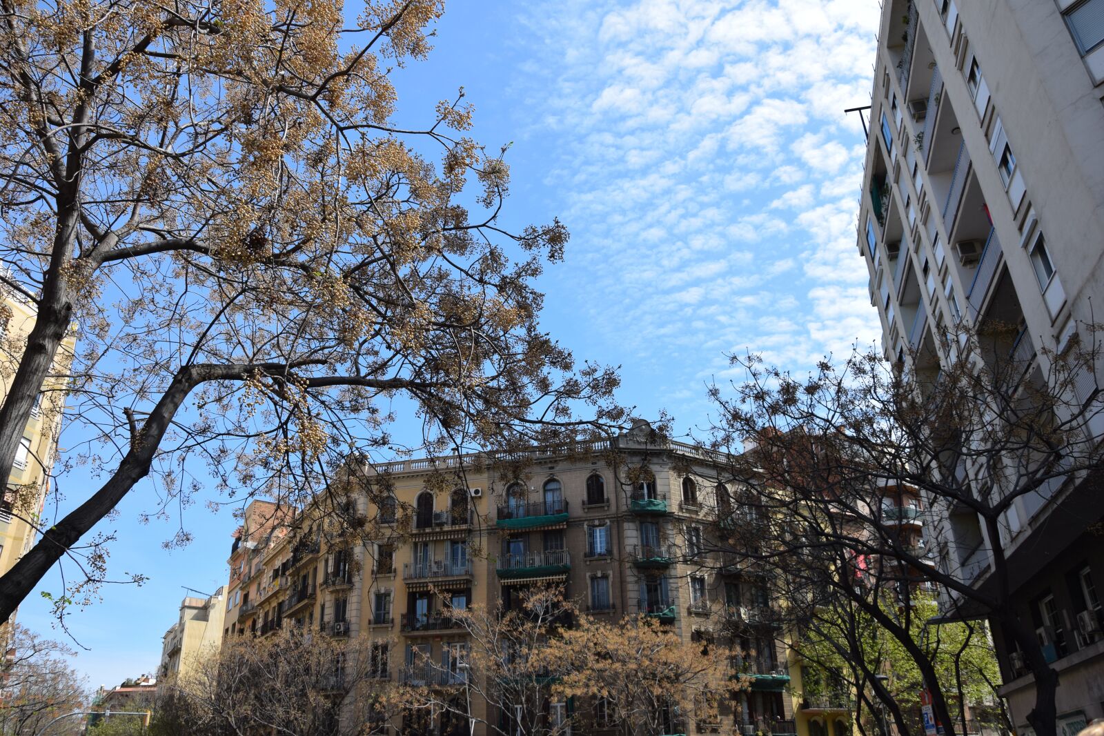 Nikon D5300 sample photo. Barcelona, catalonia, spain photography