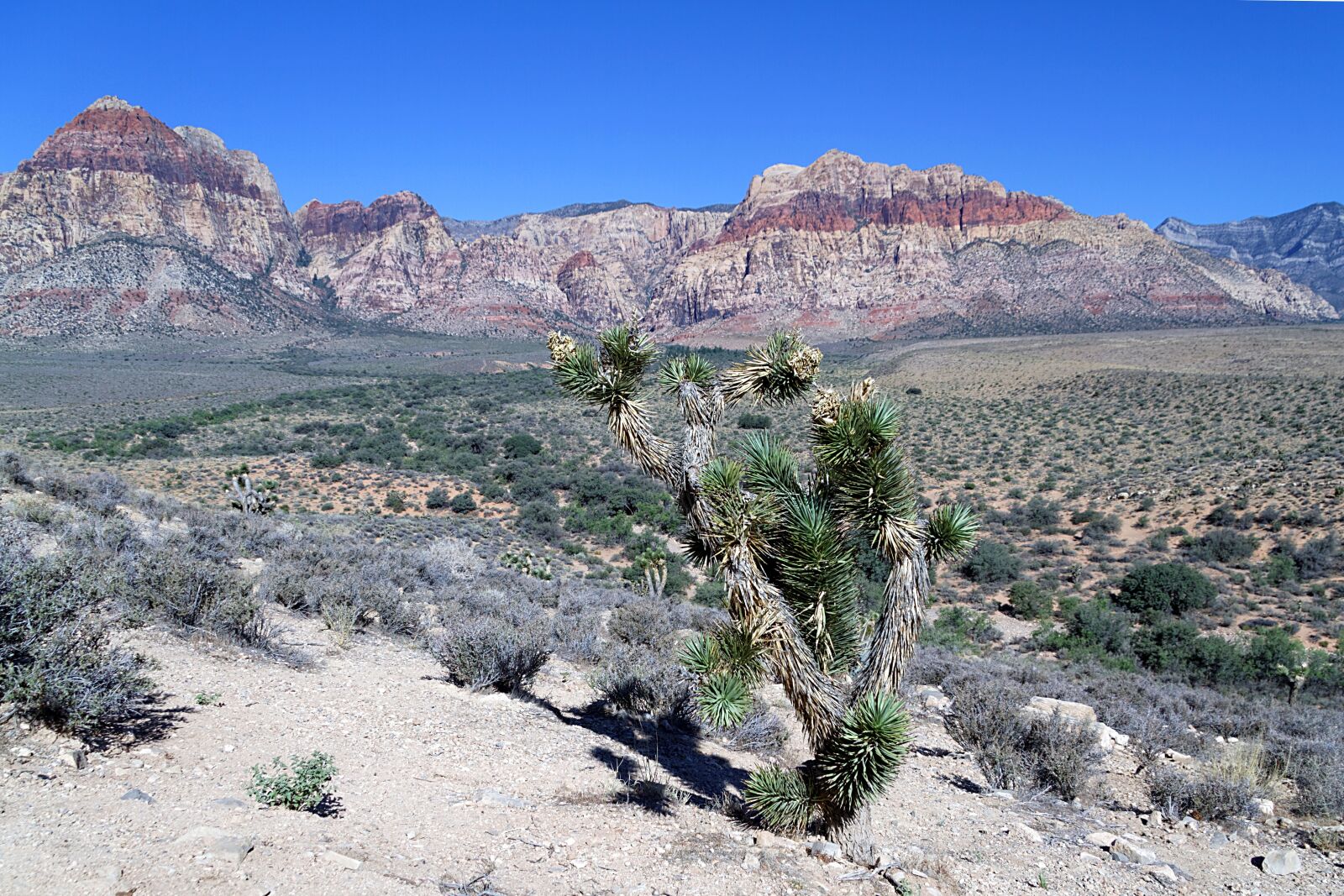 Canon EOS 7D sample photo. Death valley, mojave desert photography