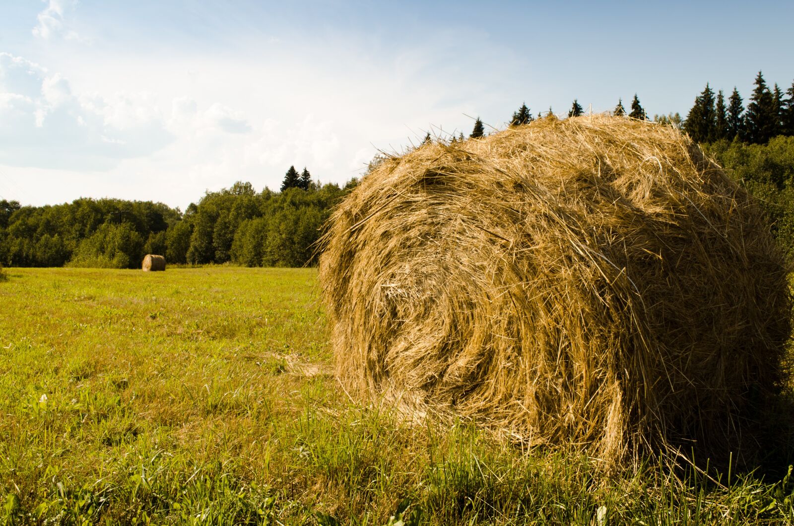 Nikon D5100 sample photo. Nature, hay, field photography