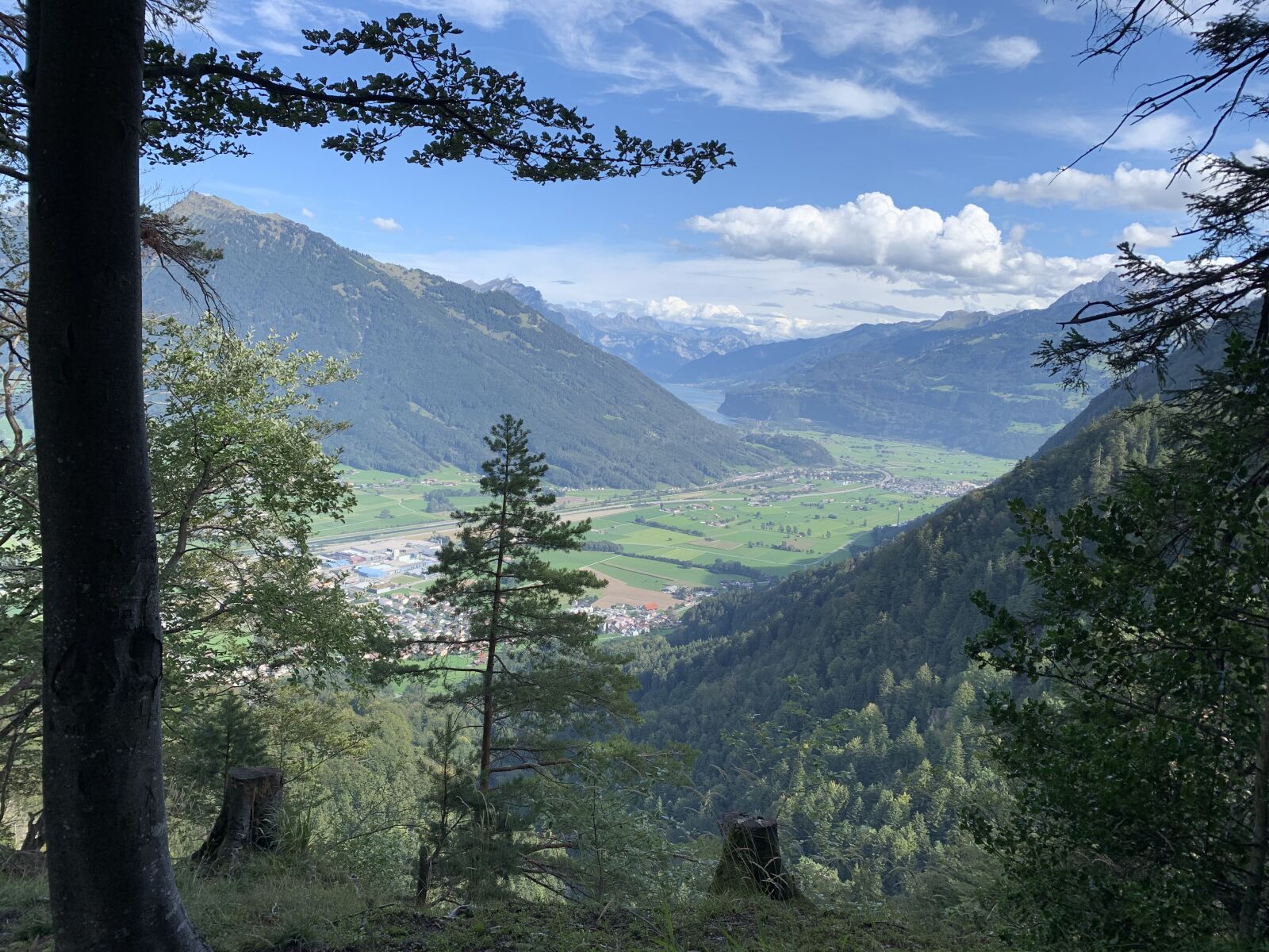 Apple iPhone XR sample photo. Linthebende, bilten, nature photography