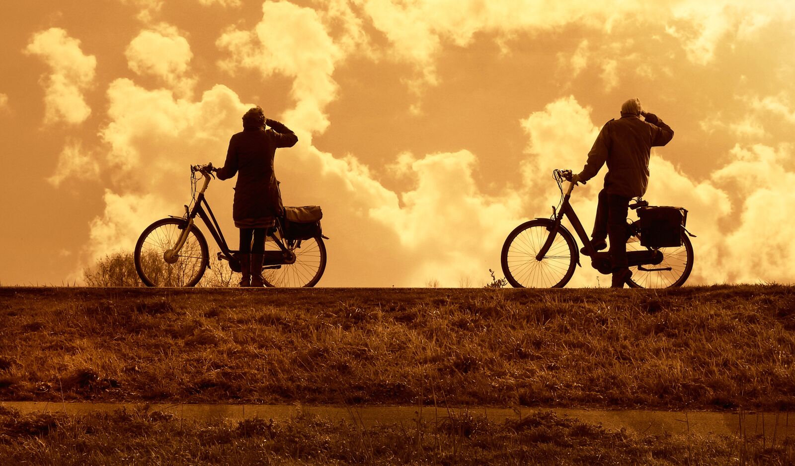 Nikon Coolpix P900 sample photo. Cyclist, bicycle, people photography