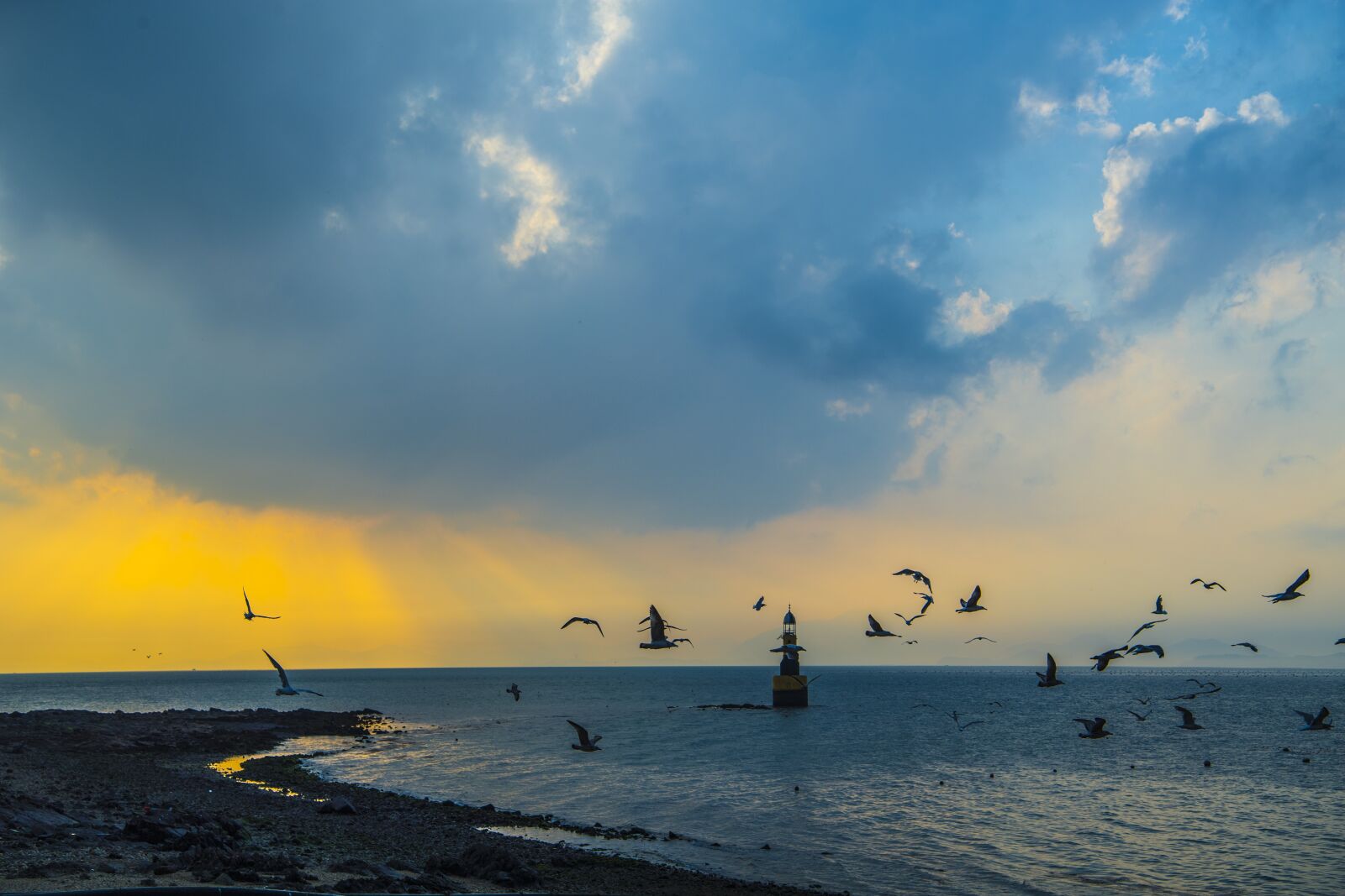 Nikon D5 sample photo. Seagull, lighthouse, sea photography