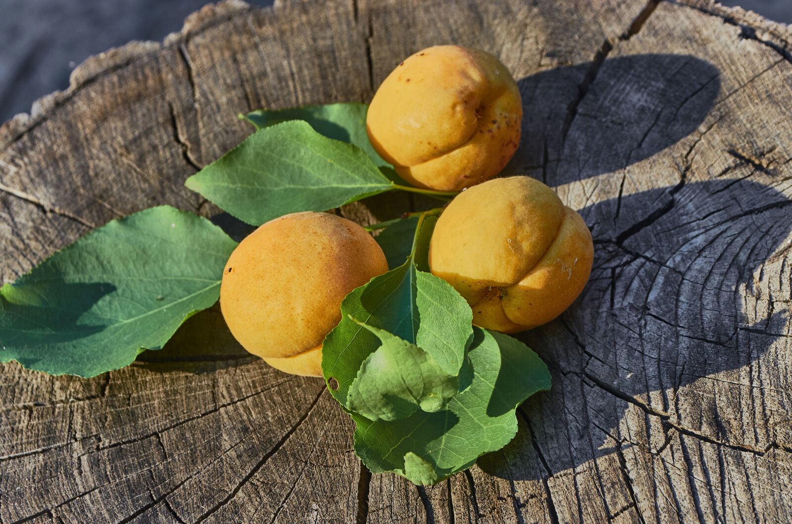 Nikon D5100 sample photo. Apricots, food, fruit photography