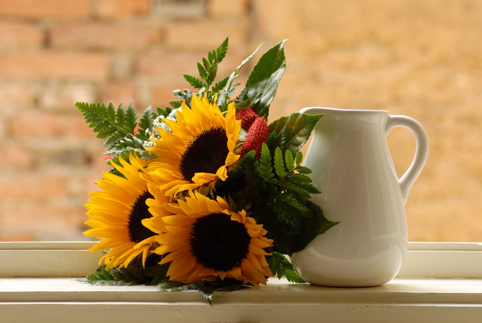 Nikon D200 sample photo. Window, sunflower, pitcher photography