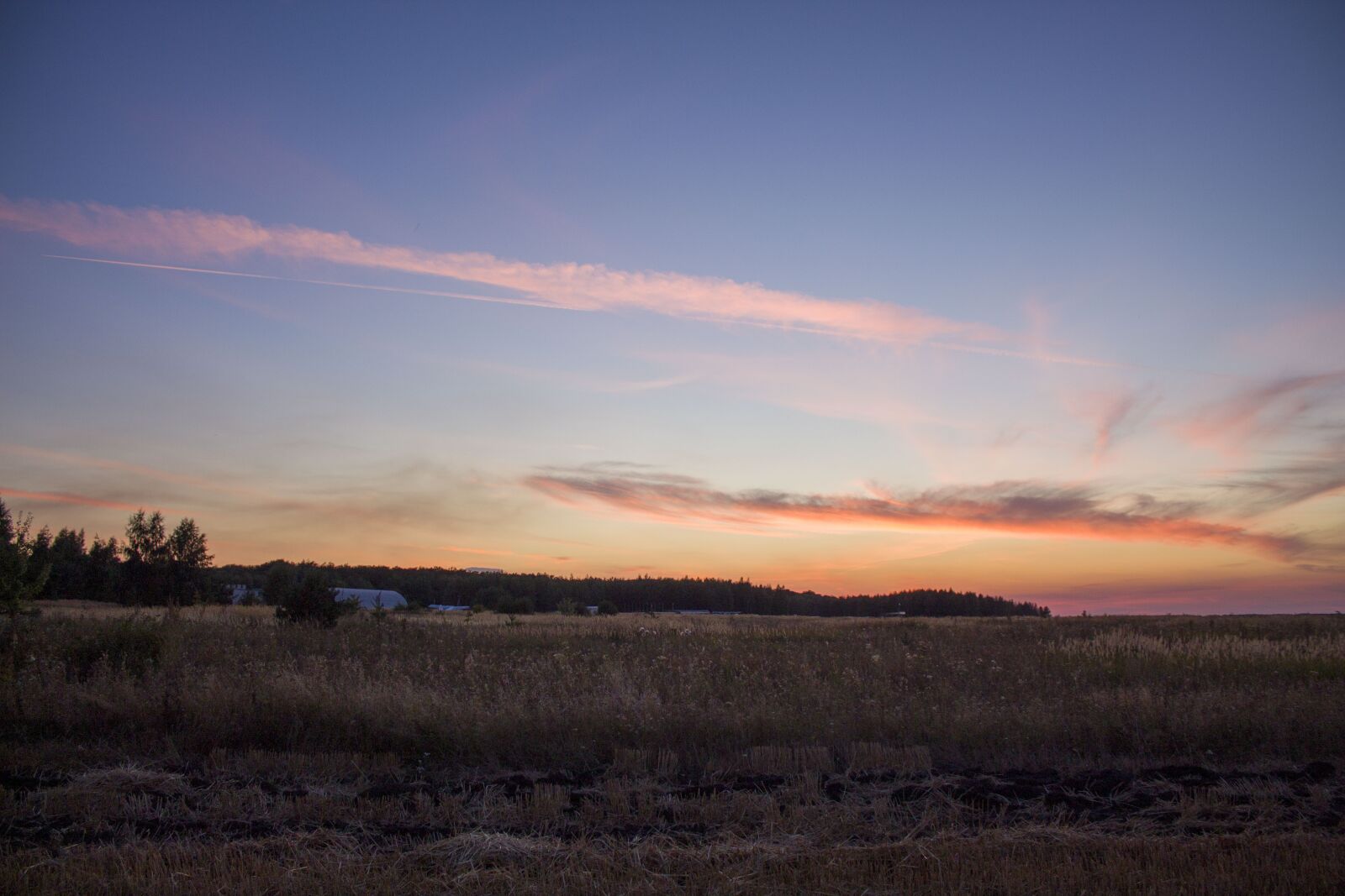 Canon EOS 4000D (EOS Rebel T100 / EOS 3000D) sample photo. Field, sunset, grass photography