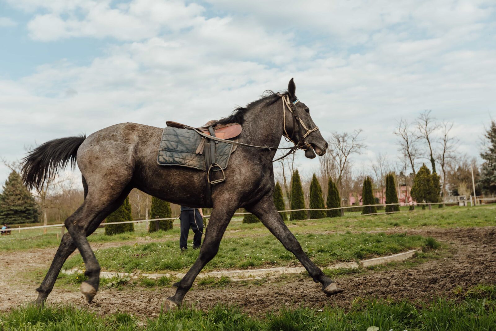 Canon EF 16-35mm F2.8L II USM sample photo. Equipment, horse, horse racing photography