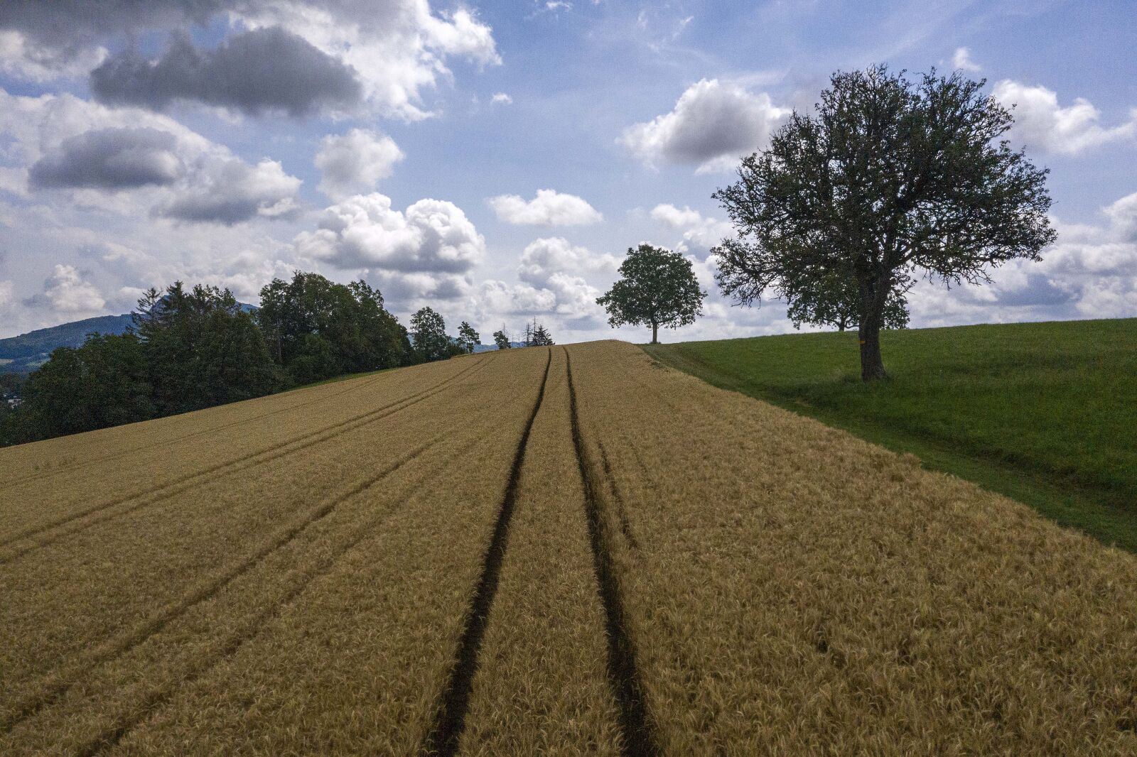 Hasselblad L1D-20c sample photo. Nature, landscape, clouds photography