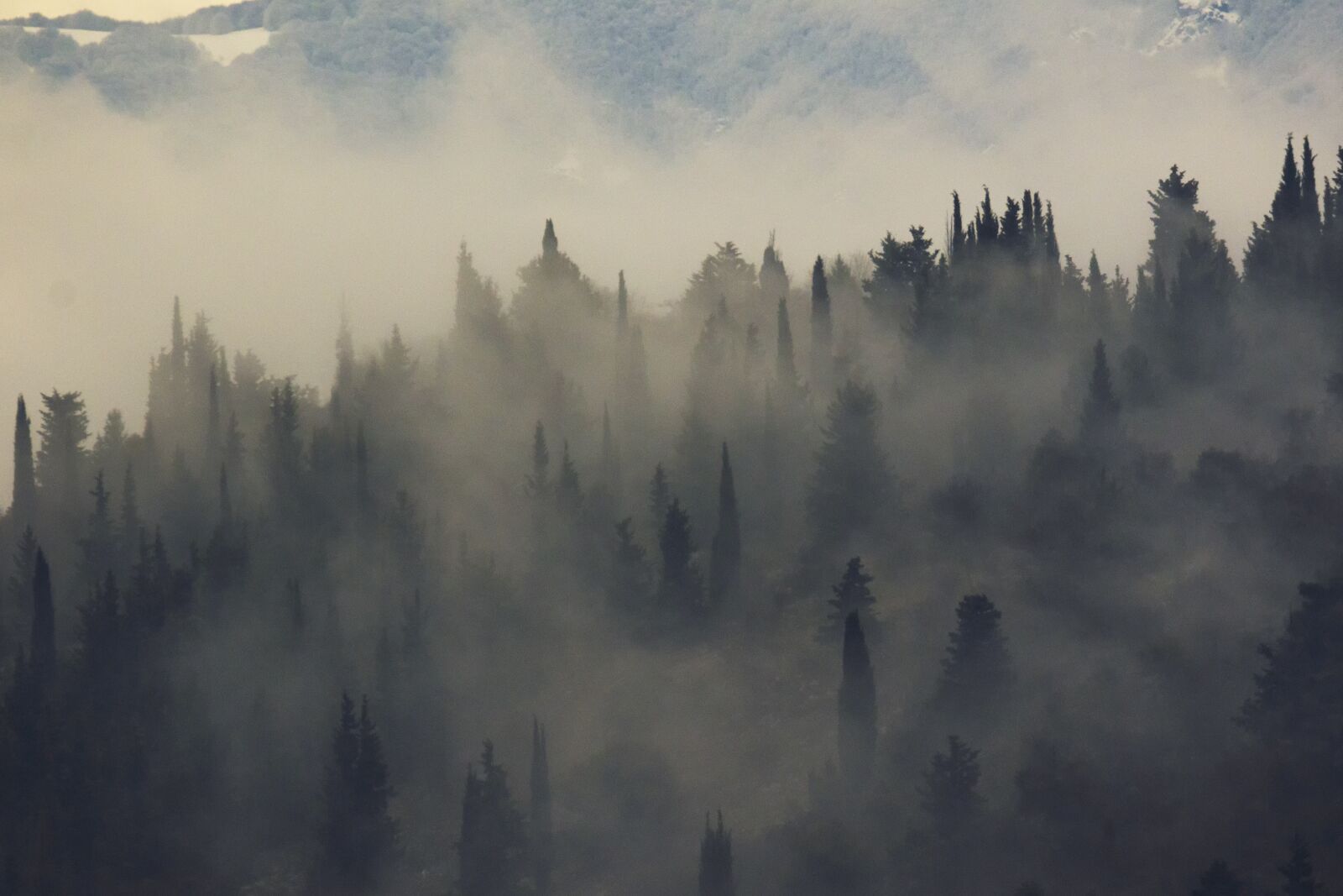Nikon D7200 sample photo. Fog, foggy, hills photography