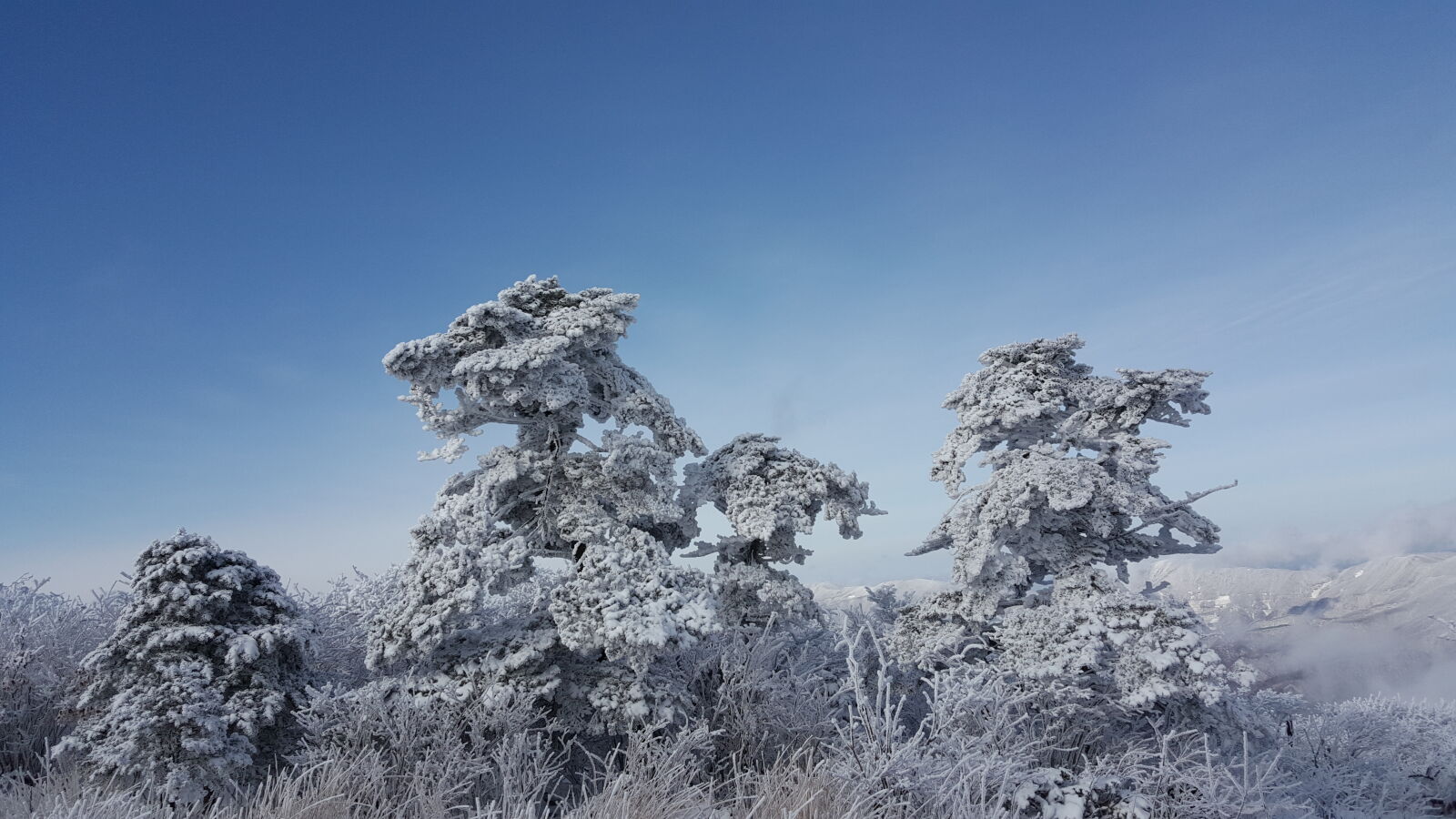 Samsung Galaxy Note5 sample photo. Korea, mountain, taebaeksan, winter photography