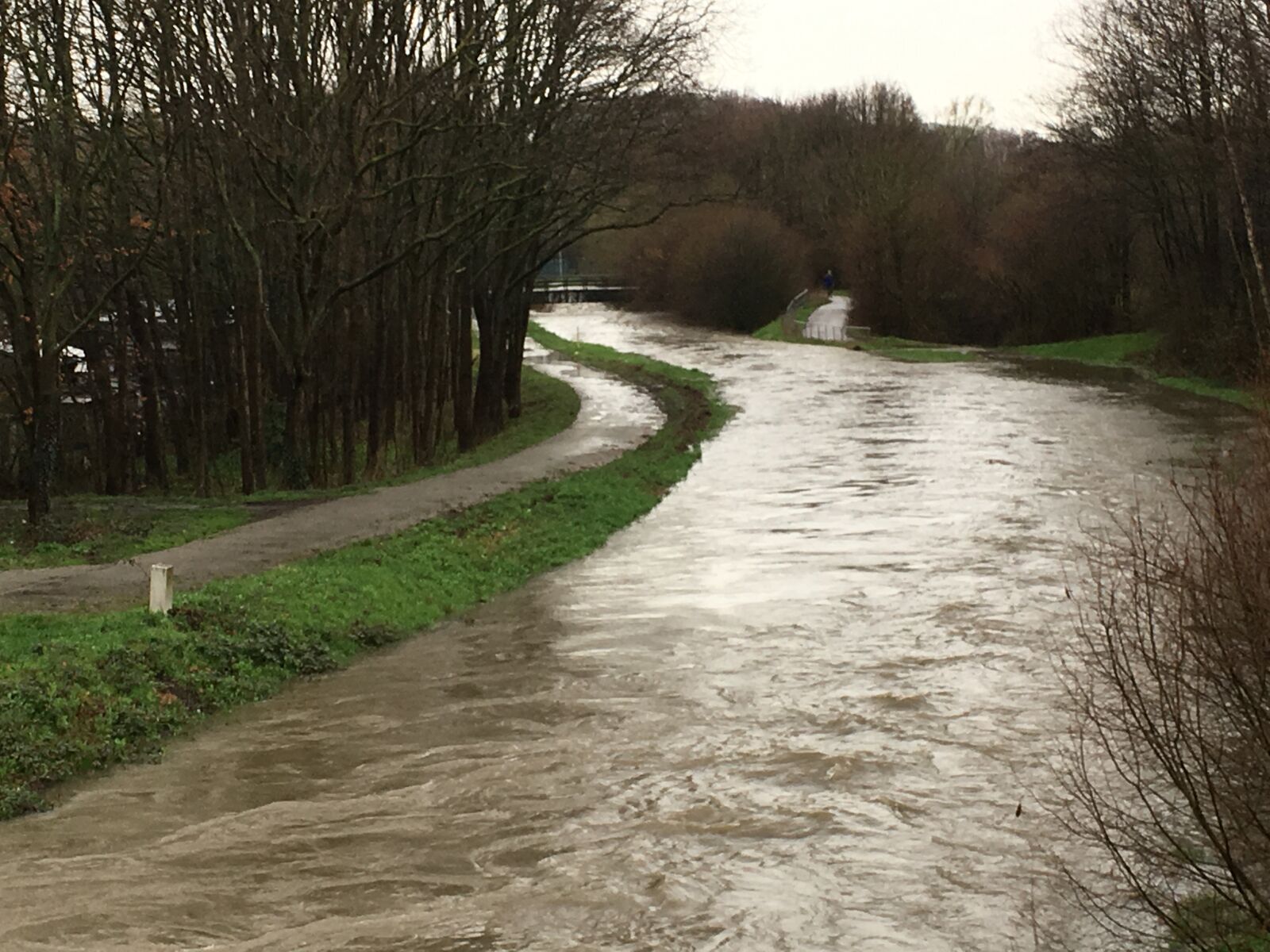 iPhone SE back camera 4.15mm f/2.2 sample photo. River, spring, flood photography