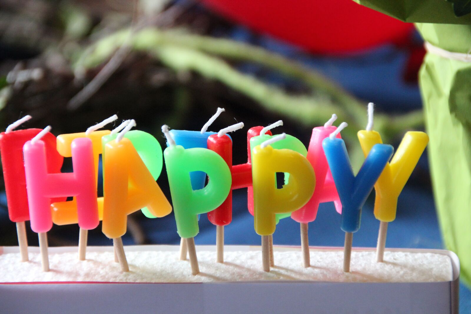 Canon EOS 600D (Rebel EOS T3i / EOS Kiss X5) sample photo. Birthday, happy birthday, congratulations photography
