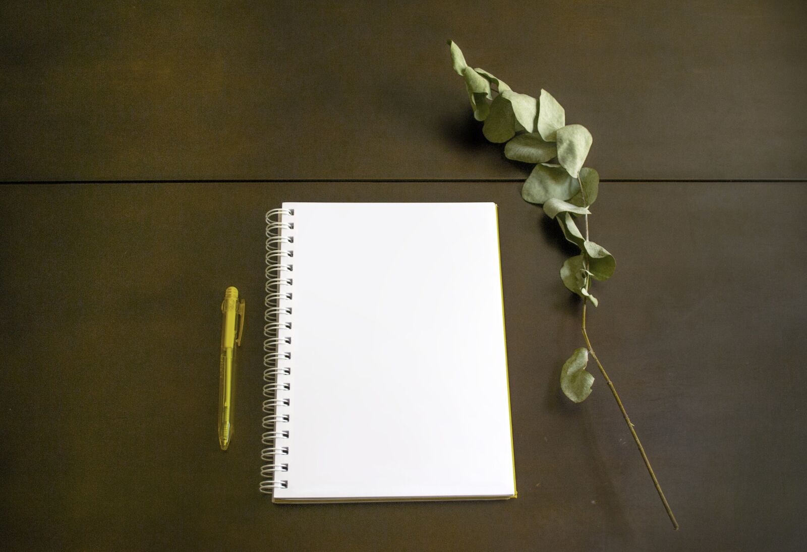 Nikon D3100 sample photo. Mockup, the sheet bond photography