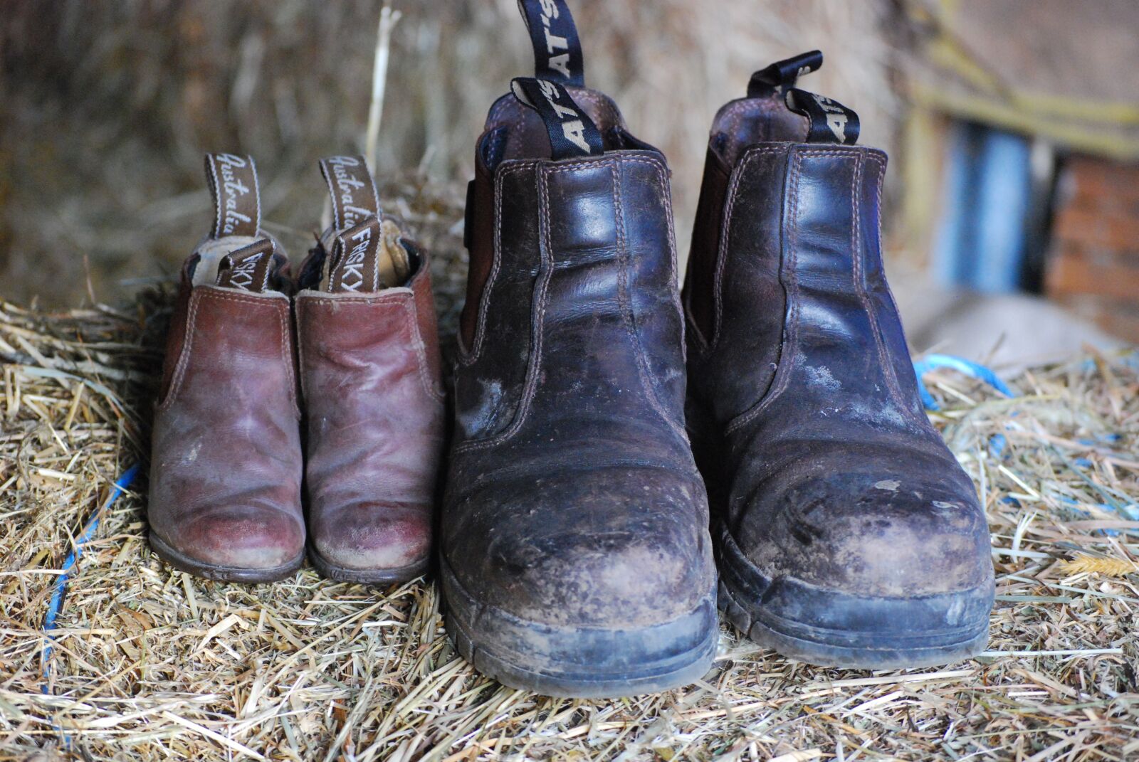 Nikon D80 sample photo. Elastic sided boots, boots photography