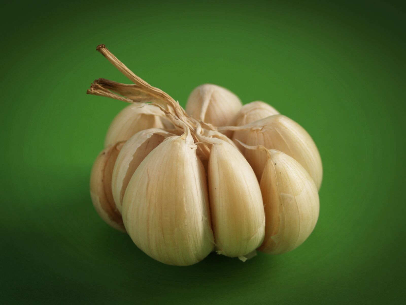 Olympus E-300 (EVOLT E-300) sample photo. Garlic, meals, seasoning photography