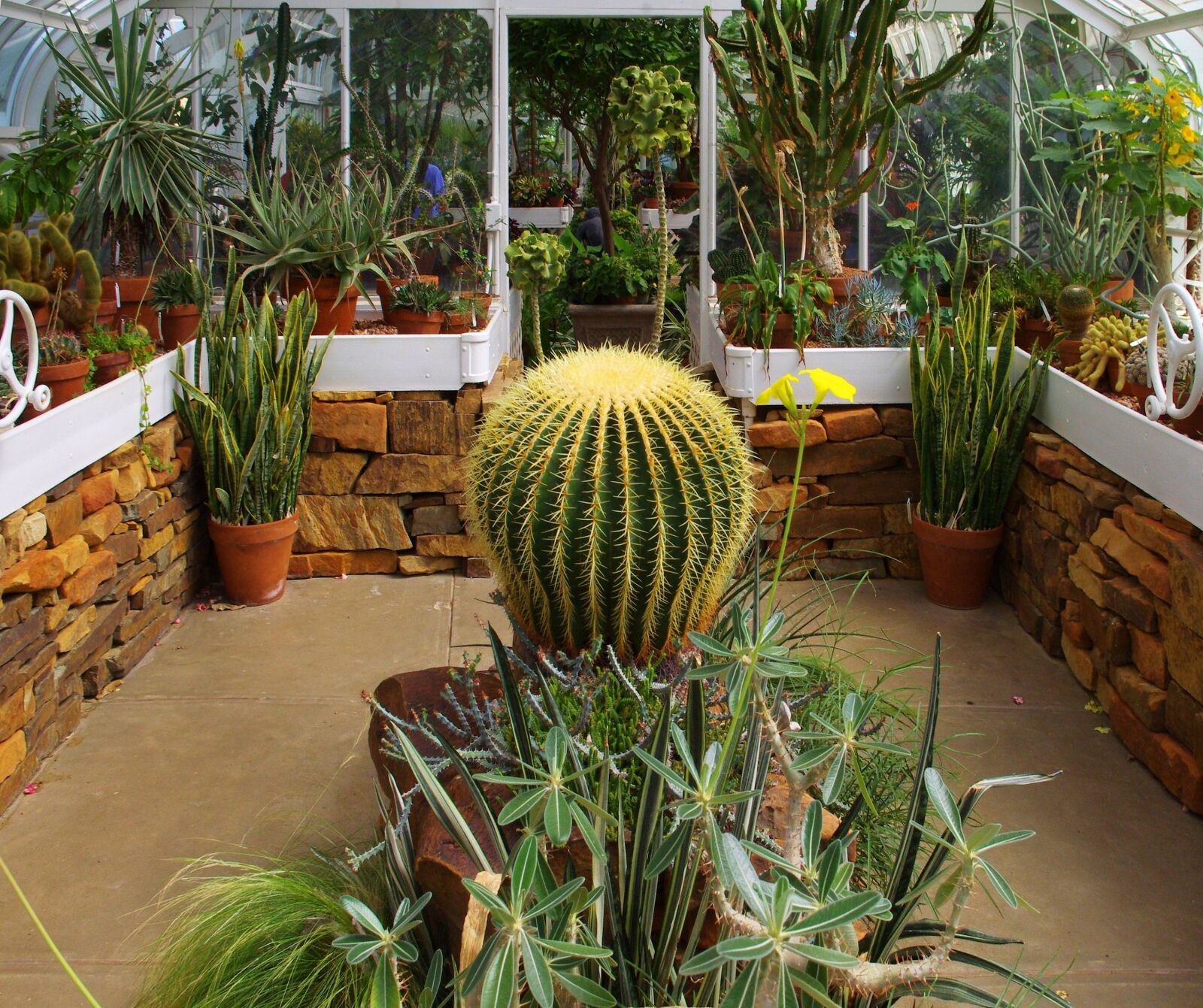 Pentax K-r sample photo. Tulsa victorian conservatory, conservatory photography