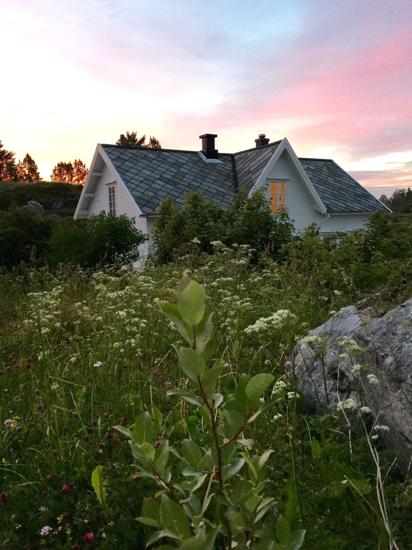 iPhone 6 Plus back camera 4.15mm f/2.2 sample photo. Norway, house, flowers photography