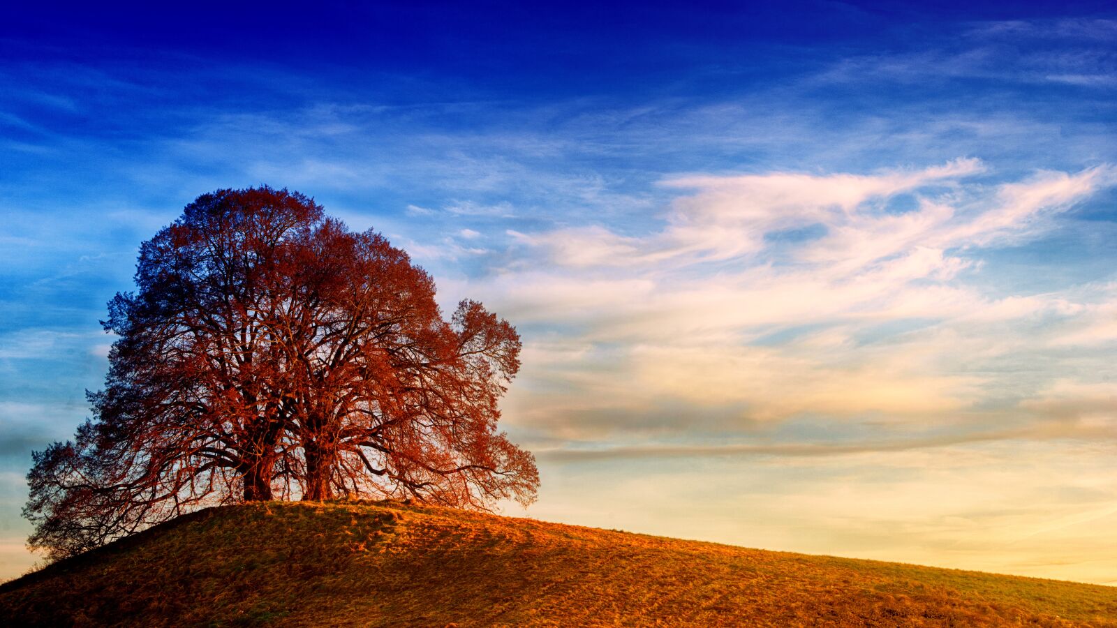 Sony a7 + Sony DT 50mm F1.8 SAM sample photo. Landscape, nature, sky photography