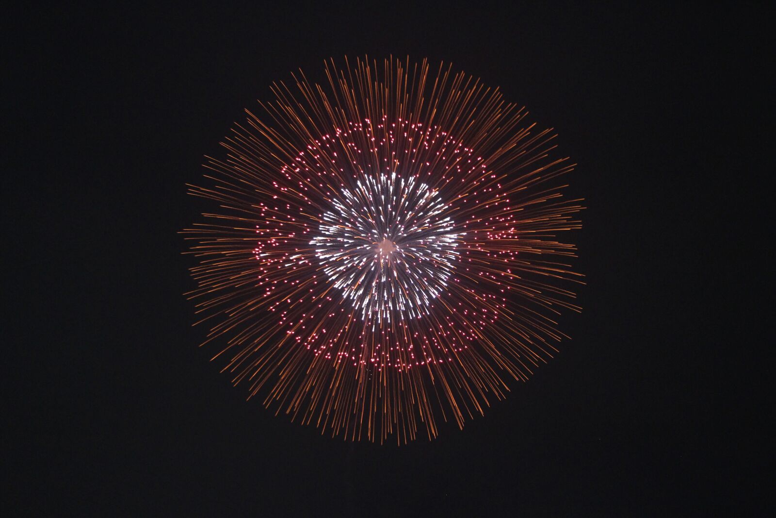 Canon EOS 100D (EOS Rebel SL1 / EOS Kiss X7) sample photo. Fireworks, festival, explosion photography