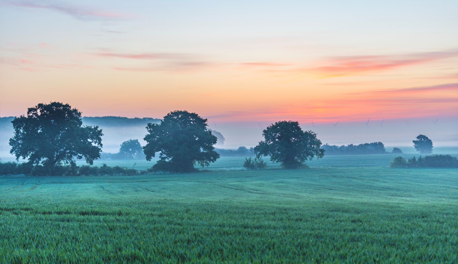 Nikon D7200 sample photo. Field, mist, calm photography