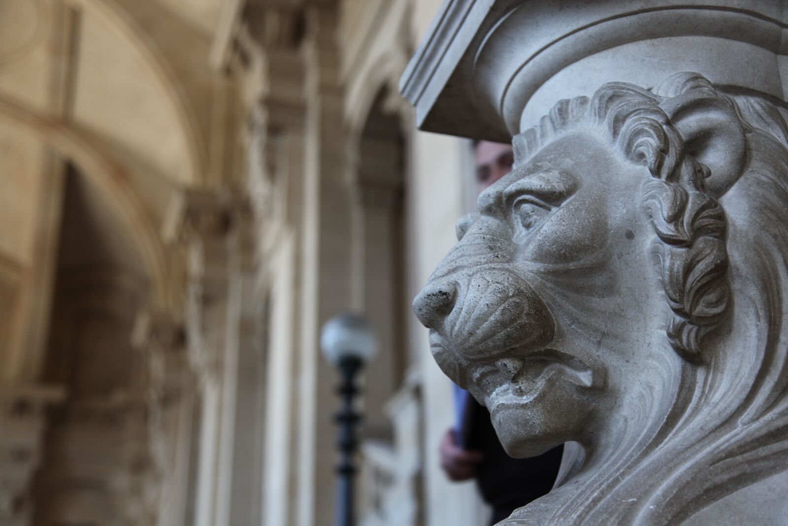 Canon EOS 5D Mark II sample photo. Lion, sculpture, architecture photography