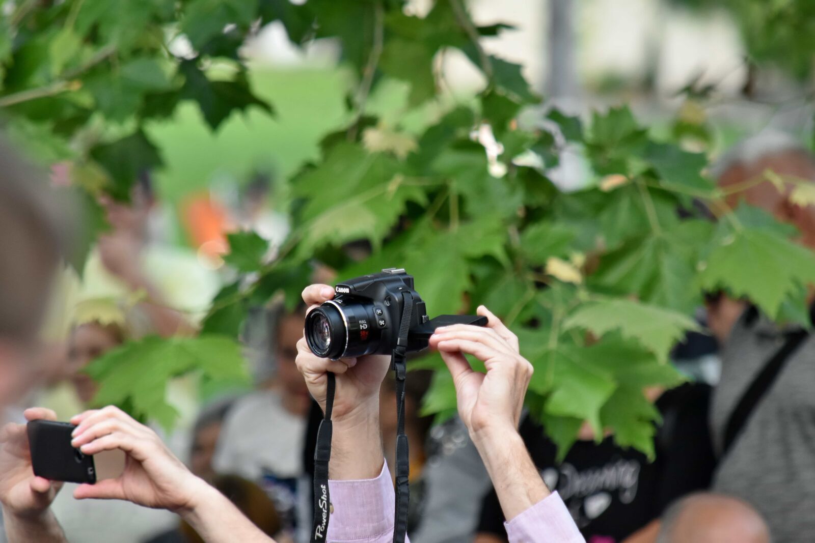 Nikon D5500 sample photo. Ceremony, crowd, photographer, photography photography