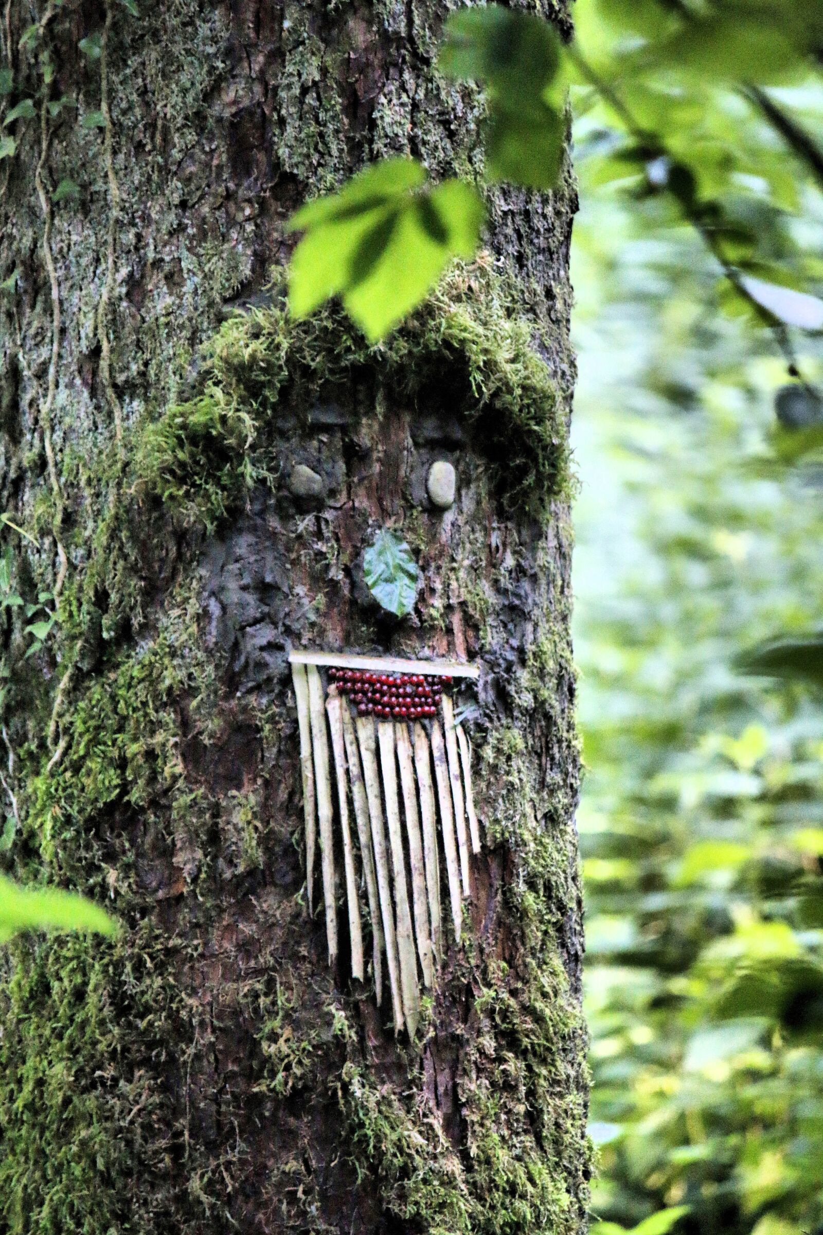 Canon EF-S 55-250mm F4-5.6 IS sample photo. Land-art, forest art, tree photography