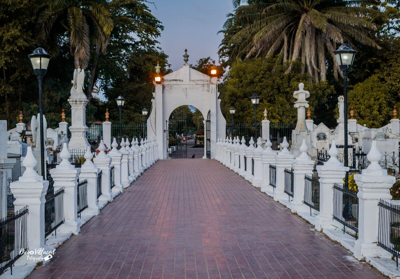Nikon D3100 sample photo. Passage, cemetery, funeral photography