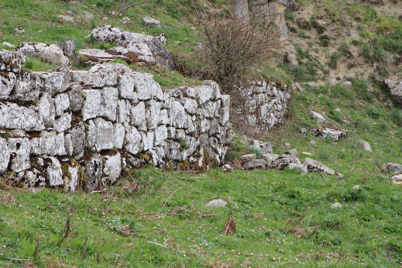 Canon EOS 600D (Rebel EOS T3i / EOS Kiss X5) sample photo. Wall, barrier, bricks photography