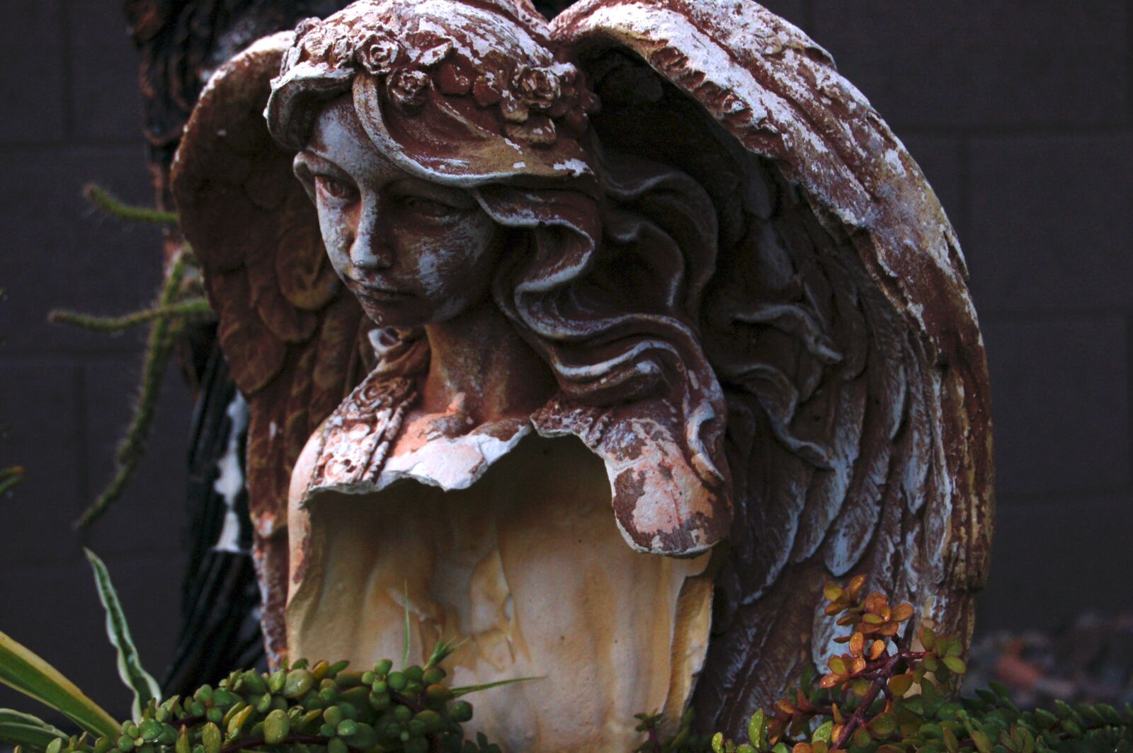 Nikon D50 sample photo. Angel, garden, sculpture photography