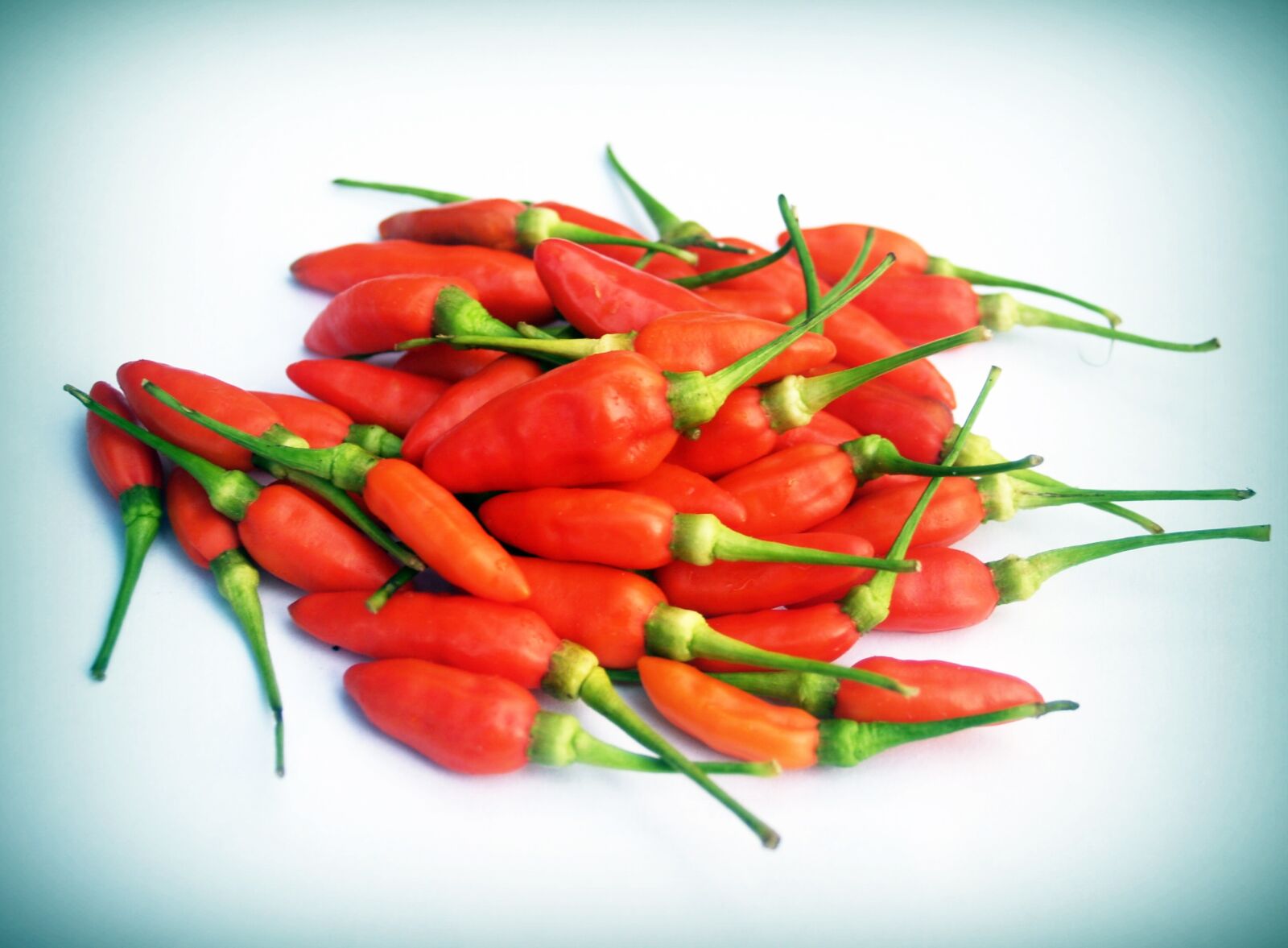 Olympus E-300 (EVOLT E-300) sample photo. Chilli, pepper, red photography