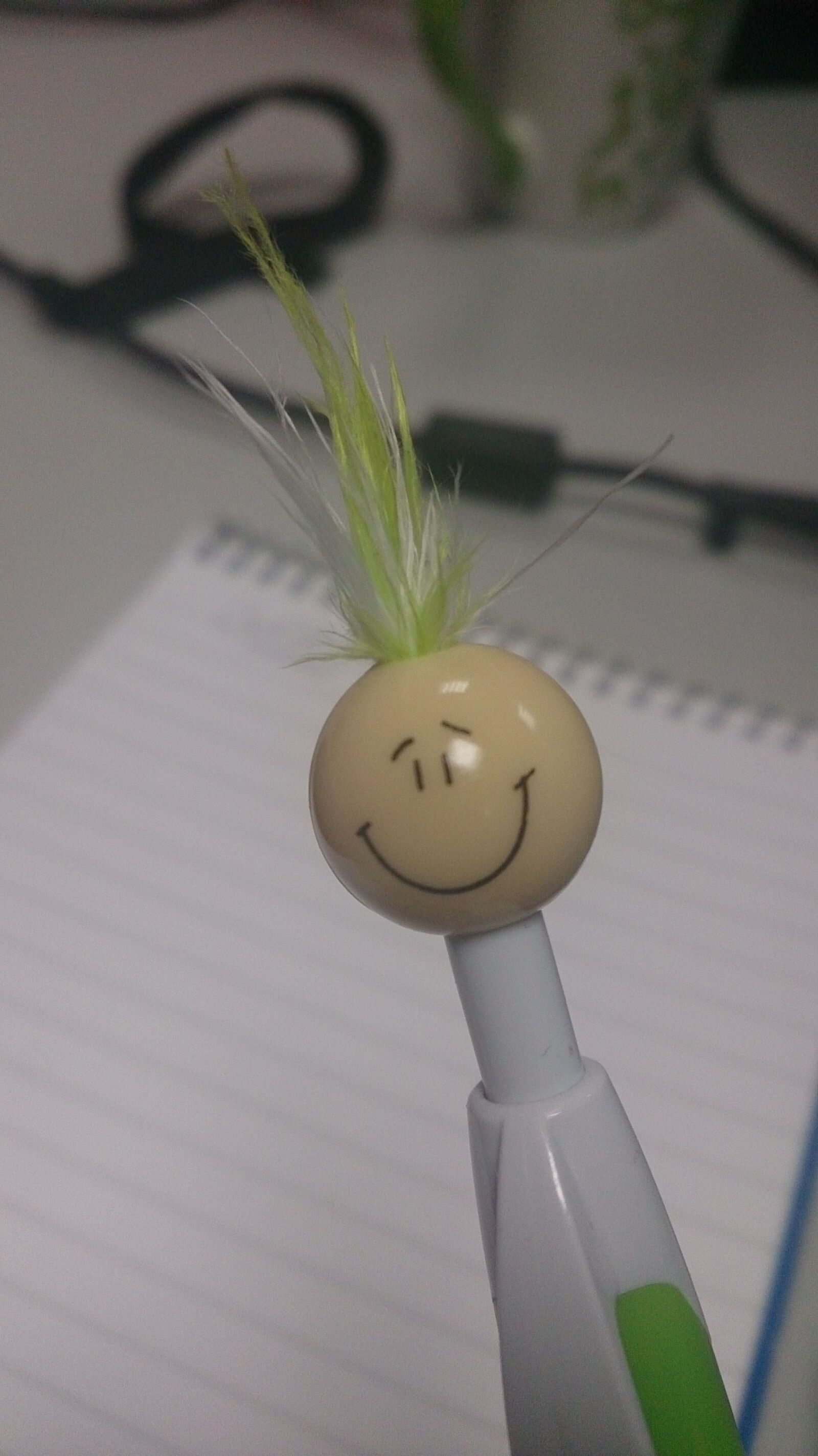 Sony Xperia Z sample photo. Pen photography