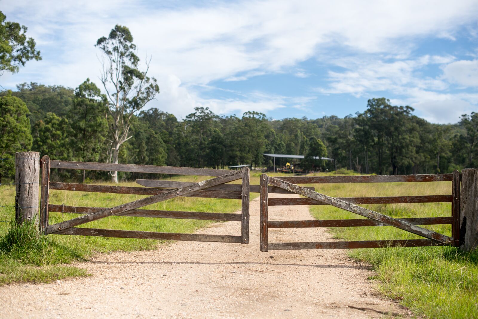 Nikon D600 sample photo. Farm, sky, trees photography