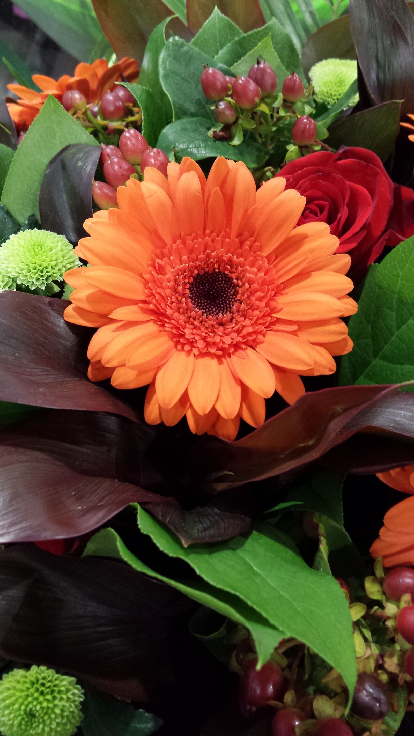 Samsung Galaxy S4 sample photo. Flower, orange, flowers photography