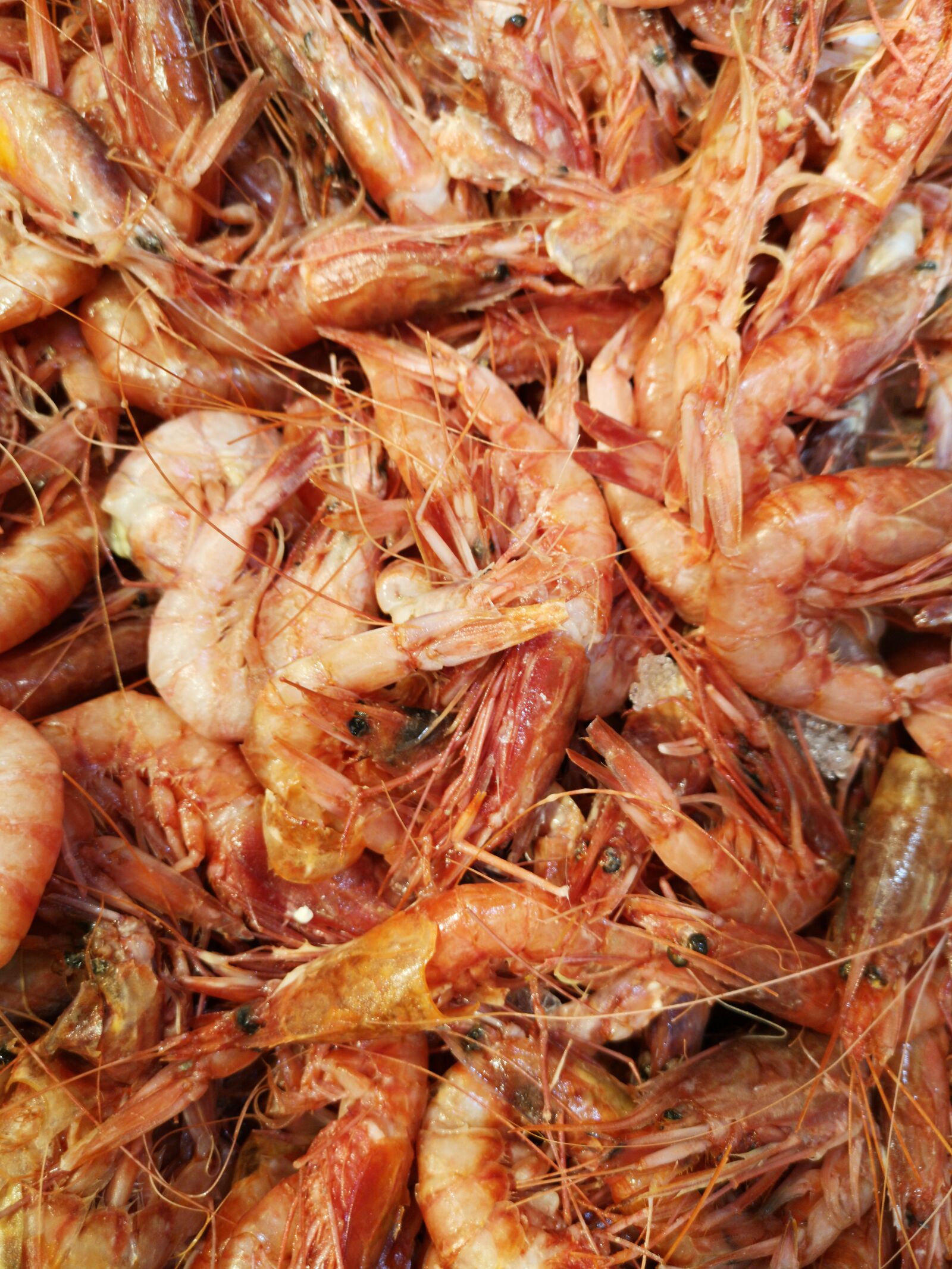 HUAWEI CLT-L09 sample photo. Shrimp, red, marine photography