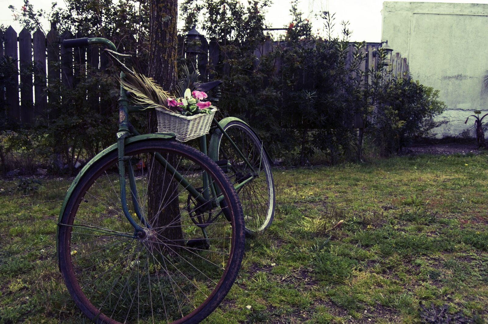 Nikon D3200 sample photo. Bike, bicicleta, flower photography