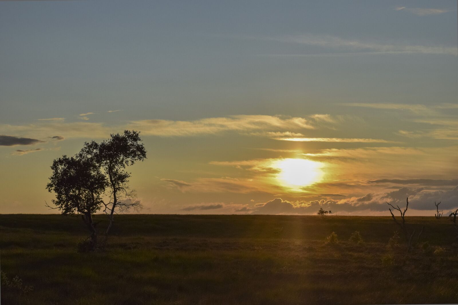 Nikon D3300 sample photo. Nature, landscape, moor photography
